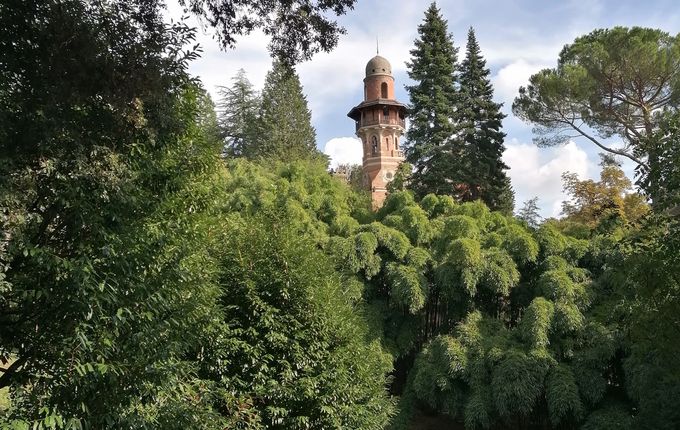 Laščakova vila objeta v zelenju parka, foto: Blaž Kosovel.  