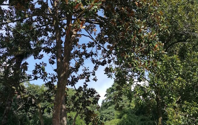 .  &copy;Foto: Blaž Kosovel