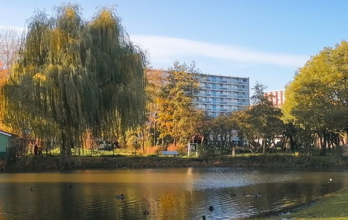 Spijkenisse, Nizozemska.  