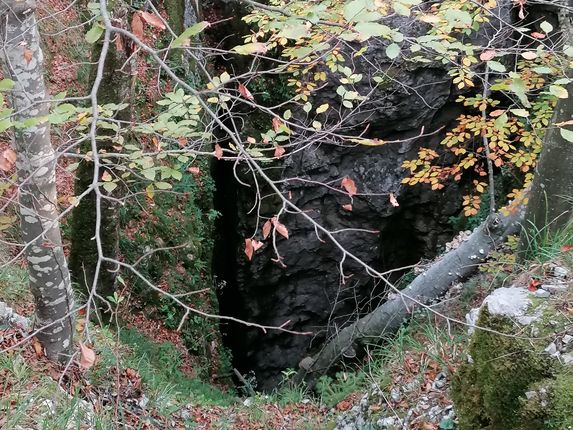 .  &copy;Foto: Blaž Kosovel