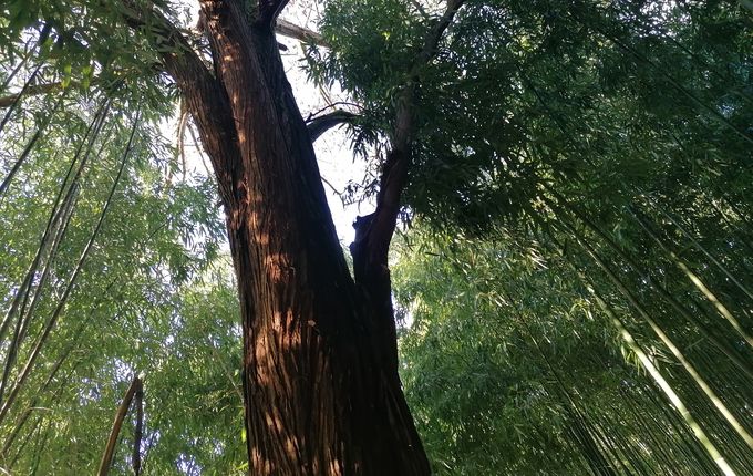 .  &copy;Foto: Blaž Kosovel