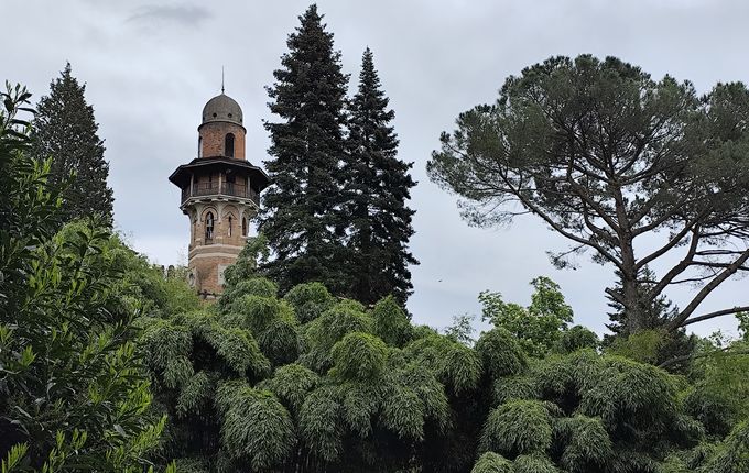 .  &copy;Foto: Blaž Kosovel