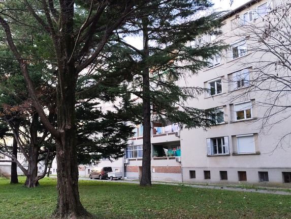 .  &copy;Foto: Blaž Kosovel