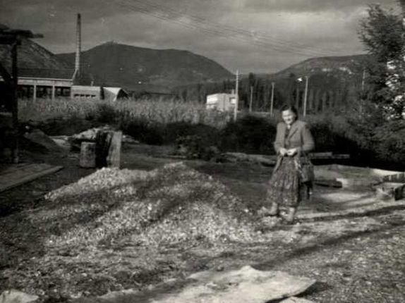 . Fotografija na področju, kjer je pozneje zrasel hotel Park. V ozadju dobro vidna frnaža, v celoti območje še popolnoma neurbanizirano (drevesa, trava, makadam). Leto 1953.  &copy;Vir: kamra.si