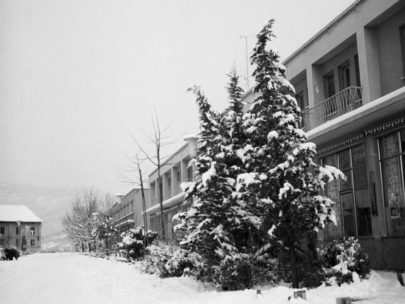 .  &copy;Foto Pavšič, hrani Goriški muzej Kromberk - Nova Gorica