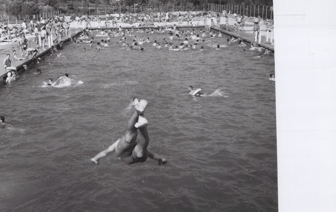 Foto: Pavšič, hrani: Goriški muzej.  