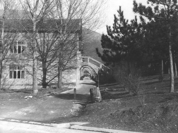 . Dijaški dom na Havajih &copy;spletna stran Dijaškega doma Nova Gorica