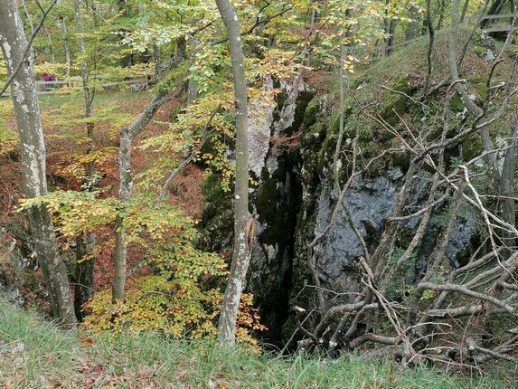 .  &copy;Foto: Blaž Kosovel